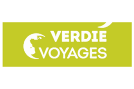 Logo Carrefour Voyages